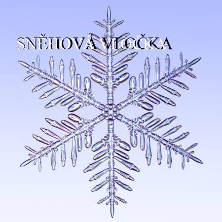 SNĚHOVÁ VLOČKA