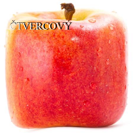 ČTVERCOVÝ