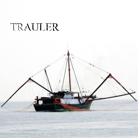 TRAULER
