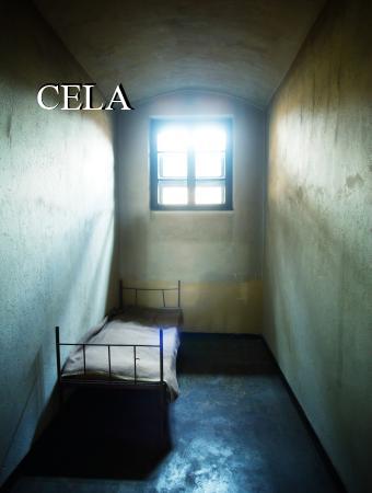CELA