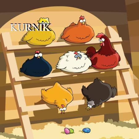 KURNÍK
