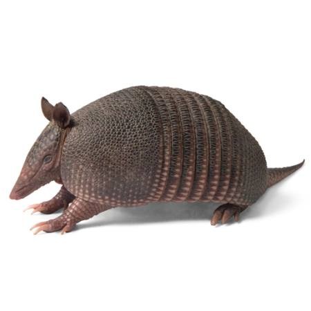 PÁSOVEC