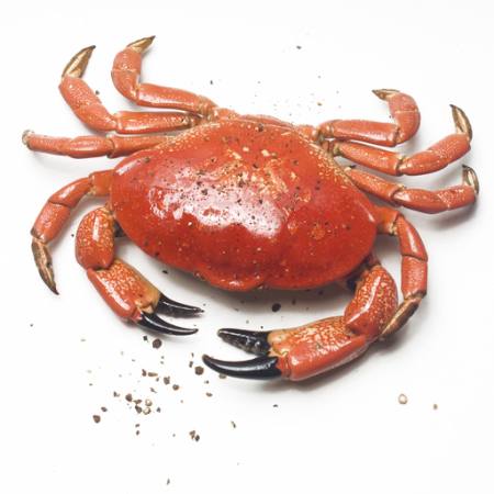 KRAB
