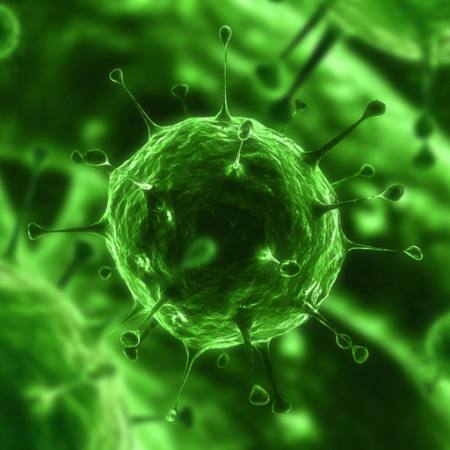 VIRUS